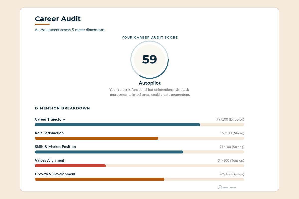 Career Audit results showing a structured breakdown of career dimensions including trajectory, satisfaction, skills, values alignment, and growth